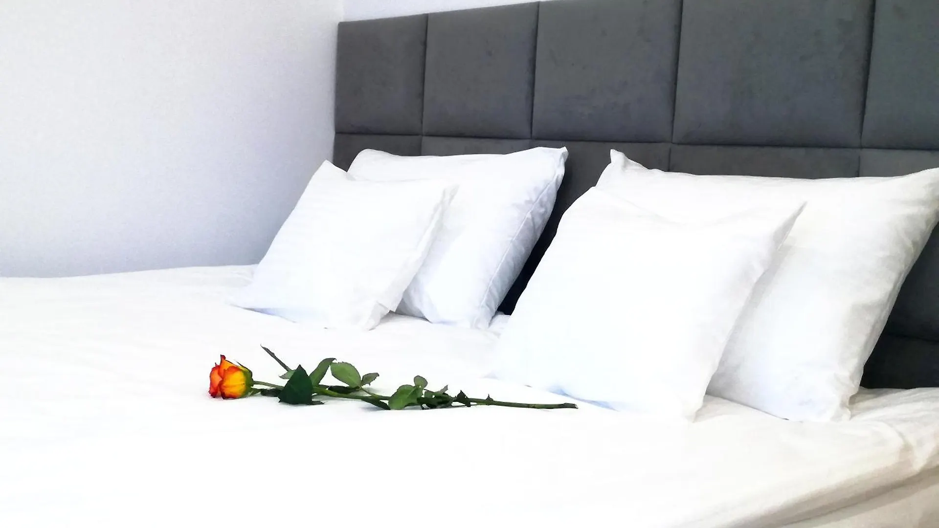 Vista Residence Wola Warsaw 0*,